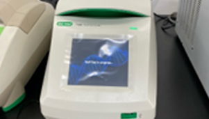PCR
